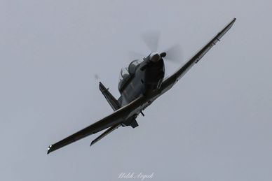 A single-engine propeller plane flying against a gray sky.