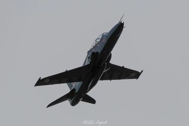 A sleek jet aircraft flying against a gray sky.