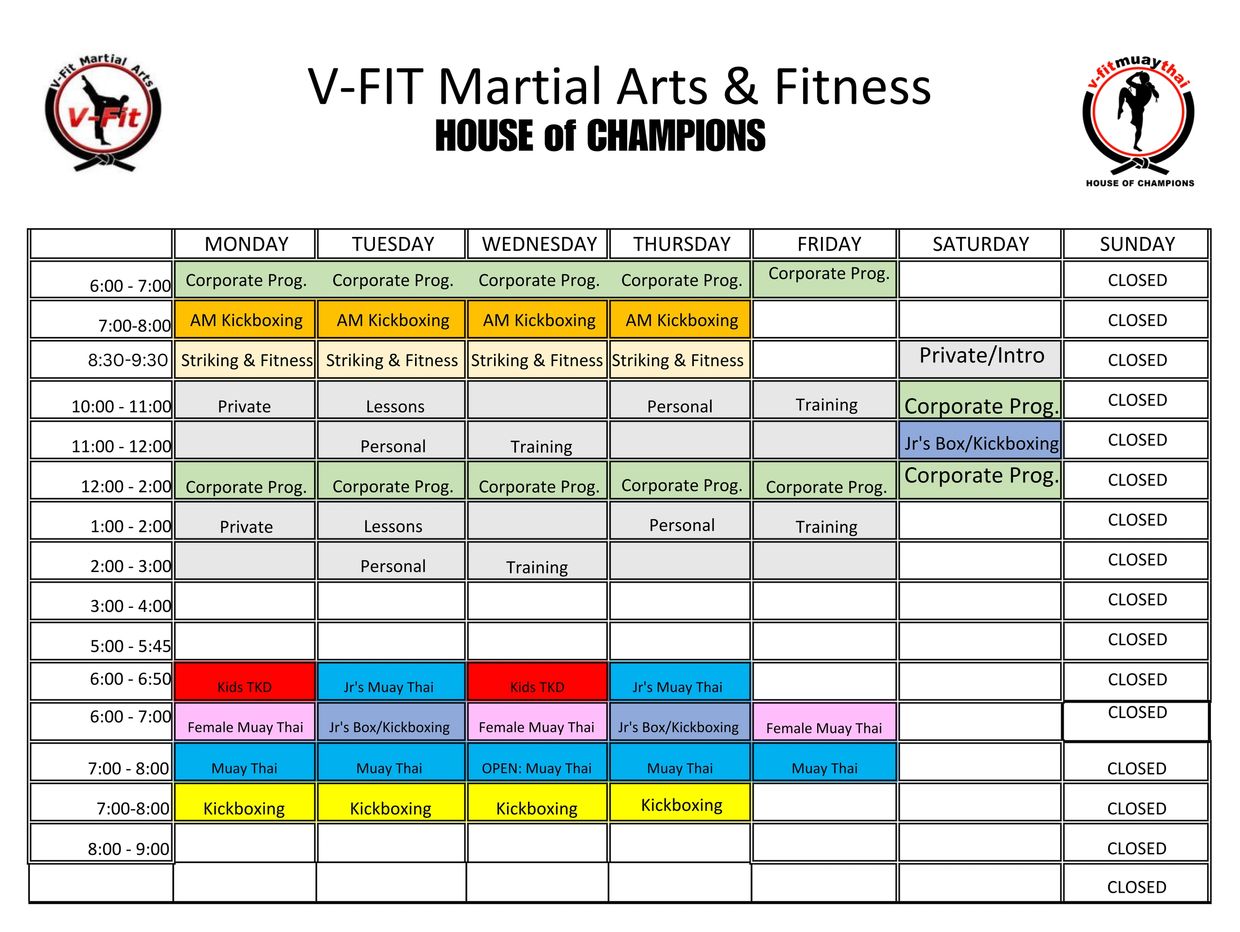 Weekly class schedule for V-FIT Martial Arts &amp; Fitness with various martial arts and fitness classes and Fight Team workouts.