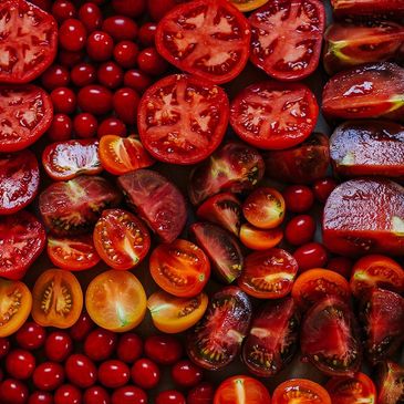 A colorful assortment of various sliced tomatoes and whole cherry tomatoes.
