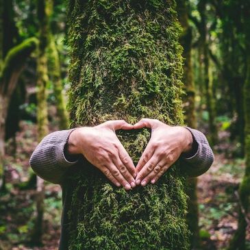 Person hugging a moss-covered tree with hands forming a heart shape.