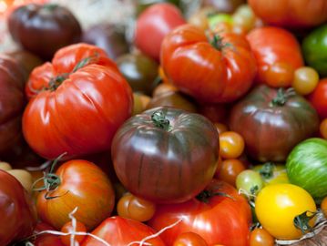 Delta Early Girls, Big Beef, Mixed Heirloom Tomatoes, including Pineapple, Black, Orange, Purple, & 