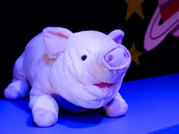 Mr Pig, the wisest of all the toys in Lights Out, kids theatre show.