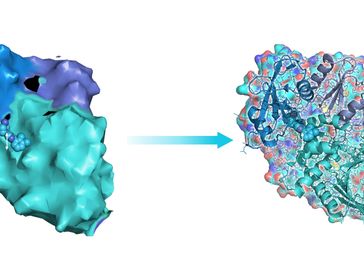 Advanced simulations turn coarse-grained biophysics data into atomistic models of protein structures