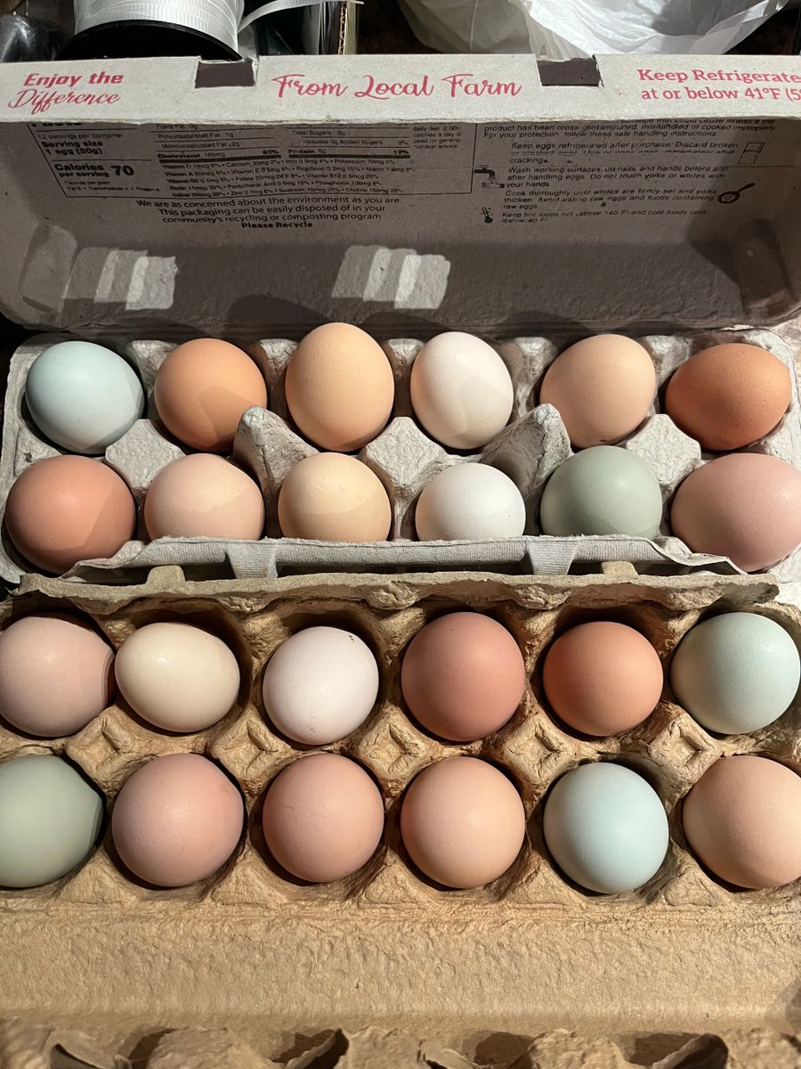 Corn and Soy Free Fresh Eggs