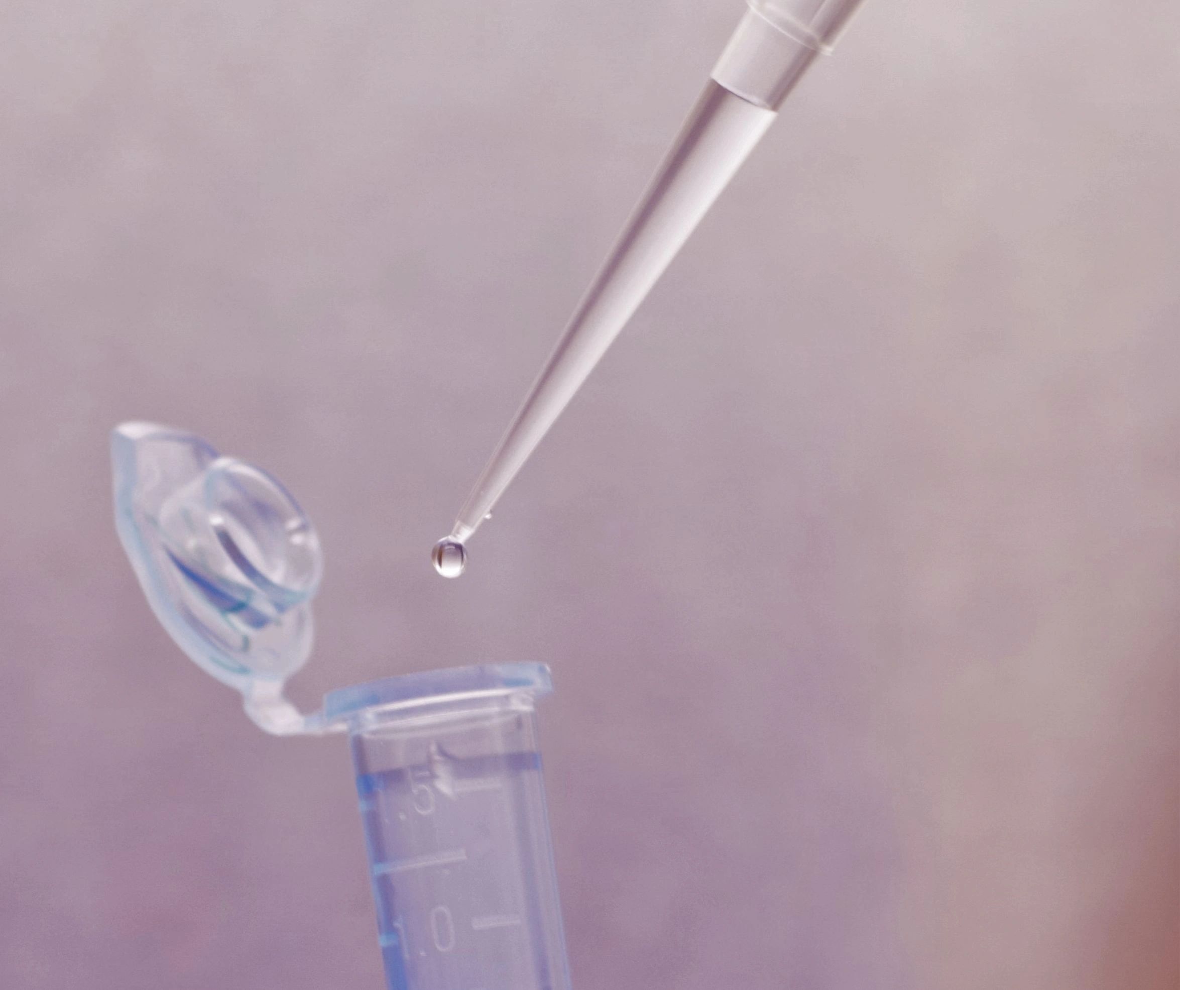 Tuning and Adjusting PCR Reaction Mix