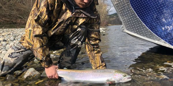 Blair's Guide Service - Who had who …. This plug has earned its keep!  Openings available from now through December for King Salmon. All ages  welcome, all fishing gear provided Contact Shane