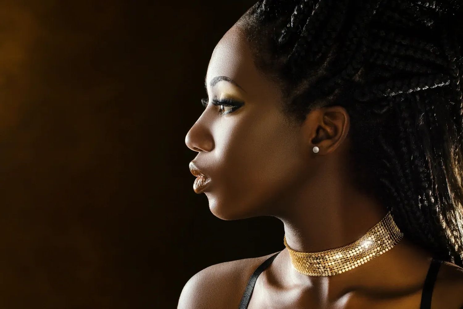 Beautiful black queen with braided hair