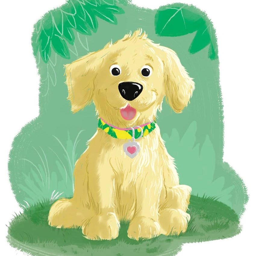 an illustration of Maui, the  golden retriever puppy