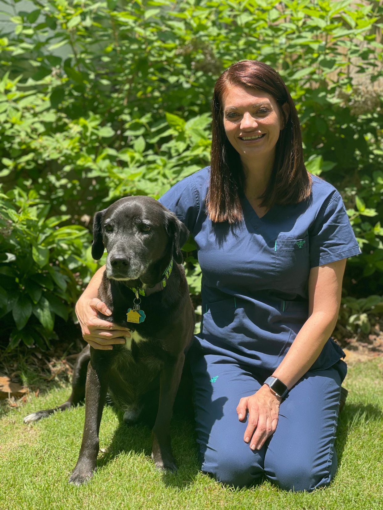 Compassionate Crossings Pet Euthanasia Birmingham compassionate-crossings-pet-euthanasia-birmingham