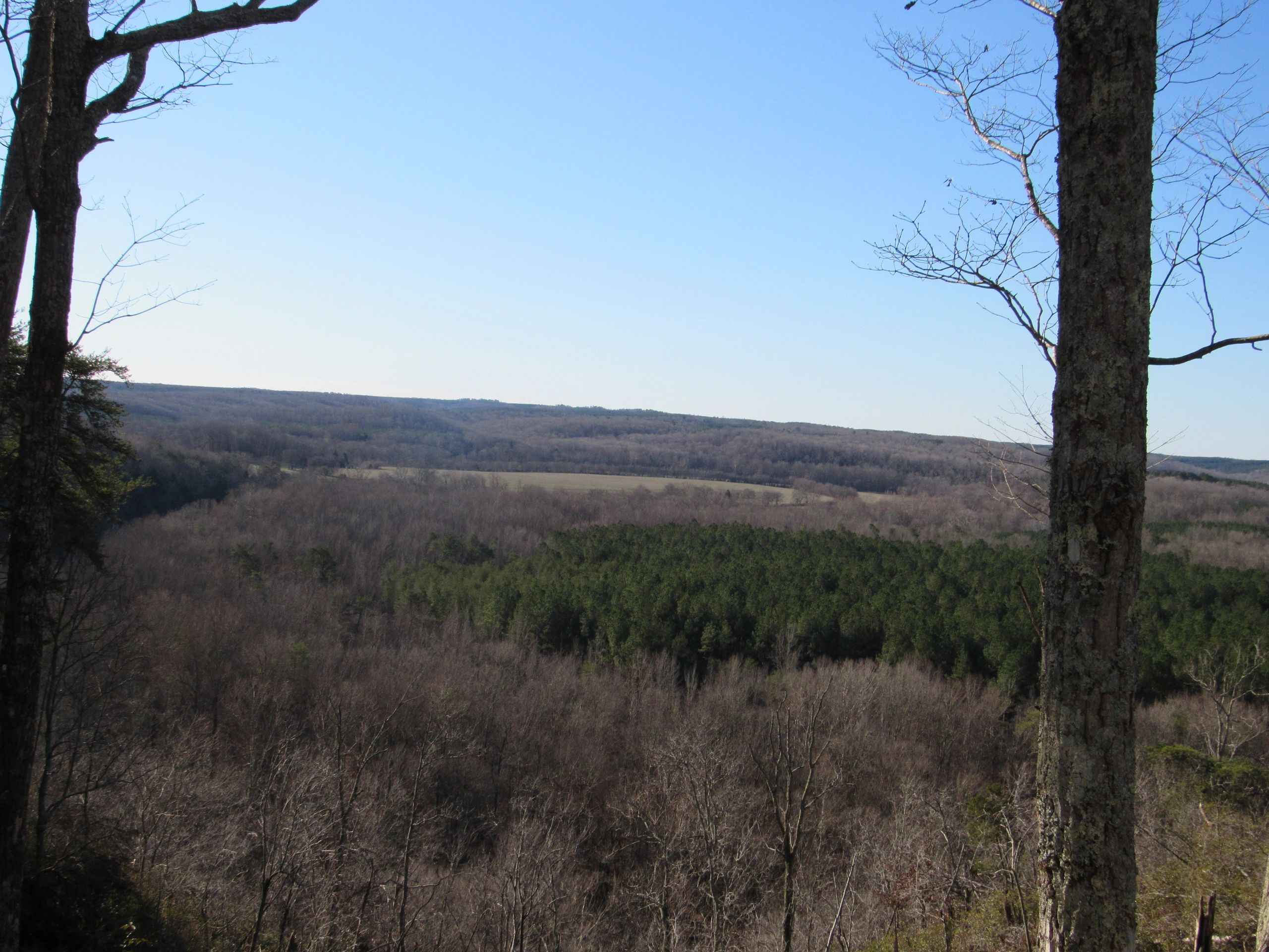 Pine Bluff RV Campground