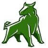 Green Brahma - Strategic Marketing Planning and Development