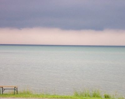 Our view from the house
