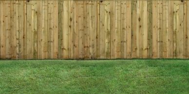 Wooden fence with green grass in front.