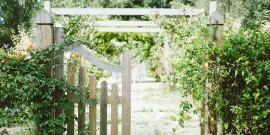 Wooden garden gate surrounded by greenery.
