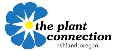 The Plant Connection