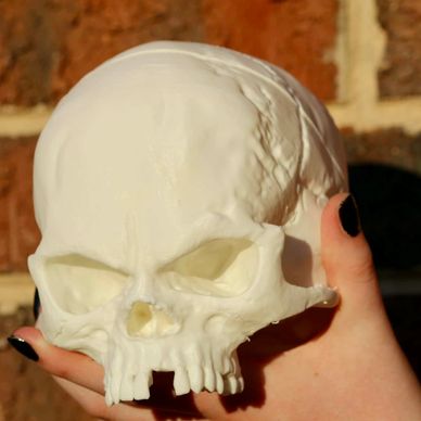 Hand holding a white skull model against a brick wall.