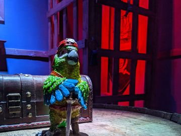 Colorful parrot figurine holding a sword, standing on a wooden barrel with a treasure chest behind.