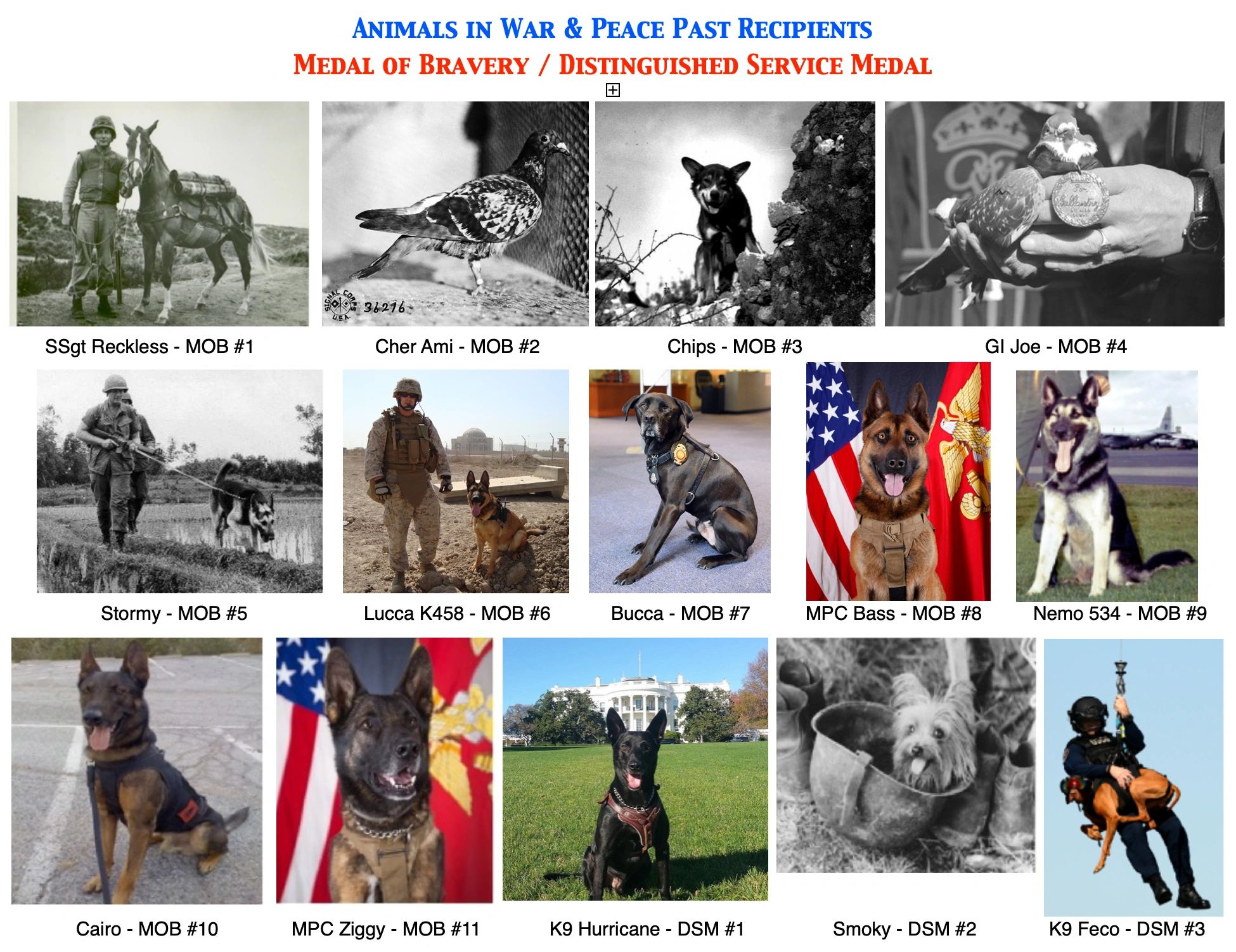About the Medals About the Medals