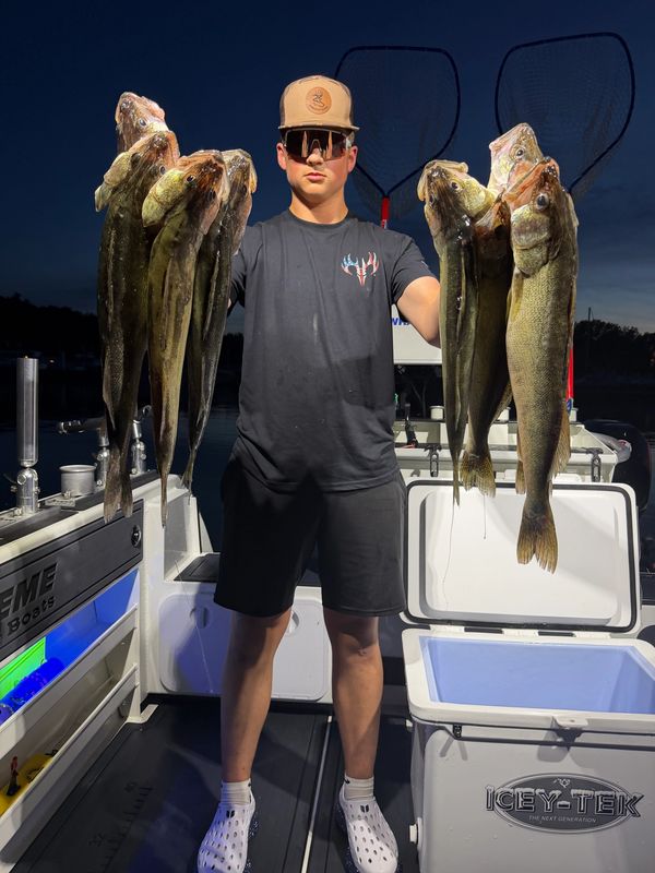 Man proudly holding up multiple fish on a boat at night.