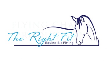 The Right Fit Equine Bit Fitting