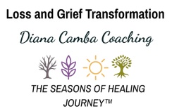 Diana Camba Coaching