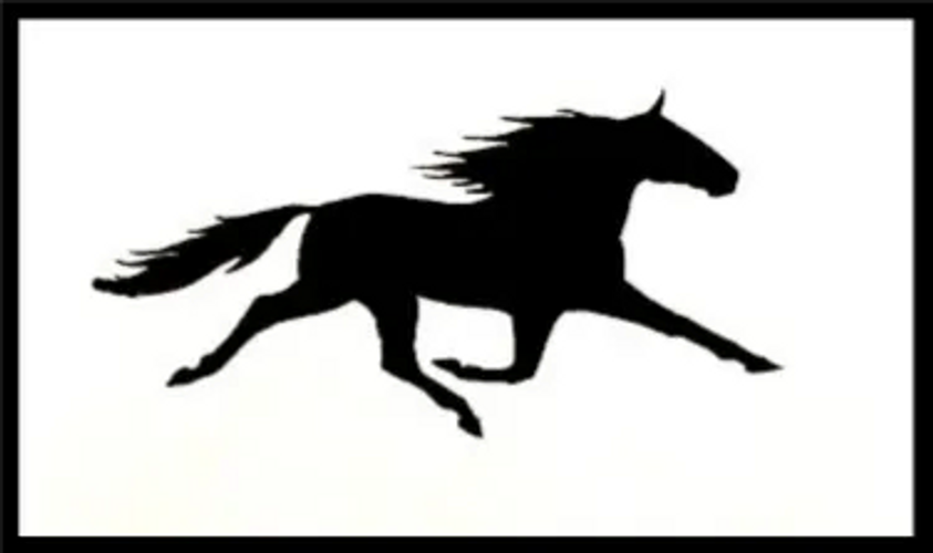 Hoofbeats - Monogramming and Embroidery