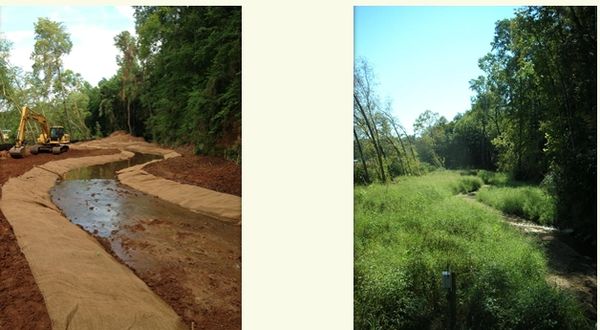 Before and after restoration of a natural stream with construction equipment and greenery.