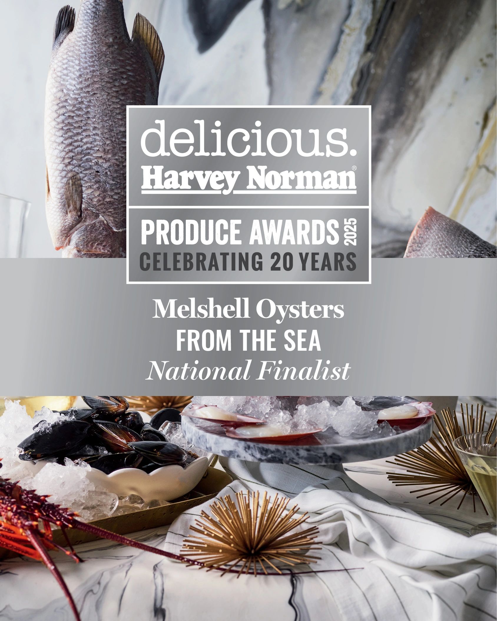 DHN national finalist 2025