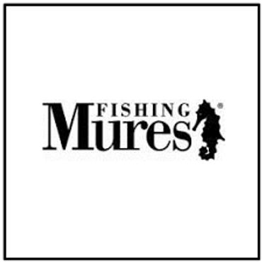 Buy Melshell Oysters at Mures 