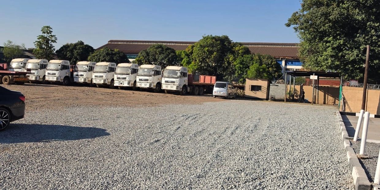 Row of white trucks parked on a gravel lot beside trees and a building.