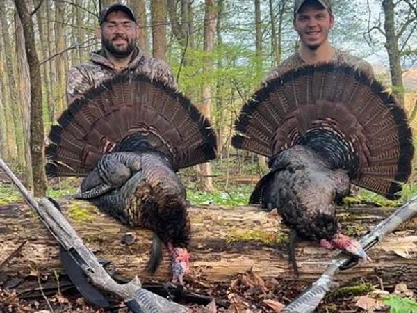 Turkey Day
