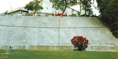 A small red shrub against a concrete wall with trees and buildings above.