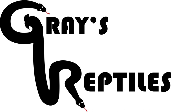 Gray S Reptiles San Diego Ball Python Breeder