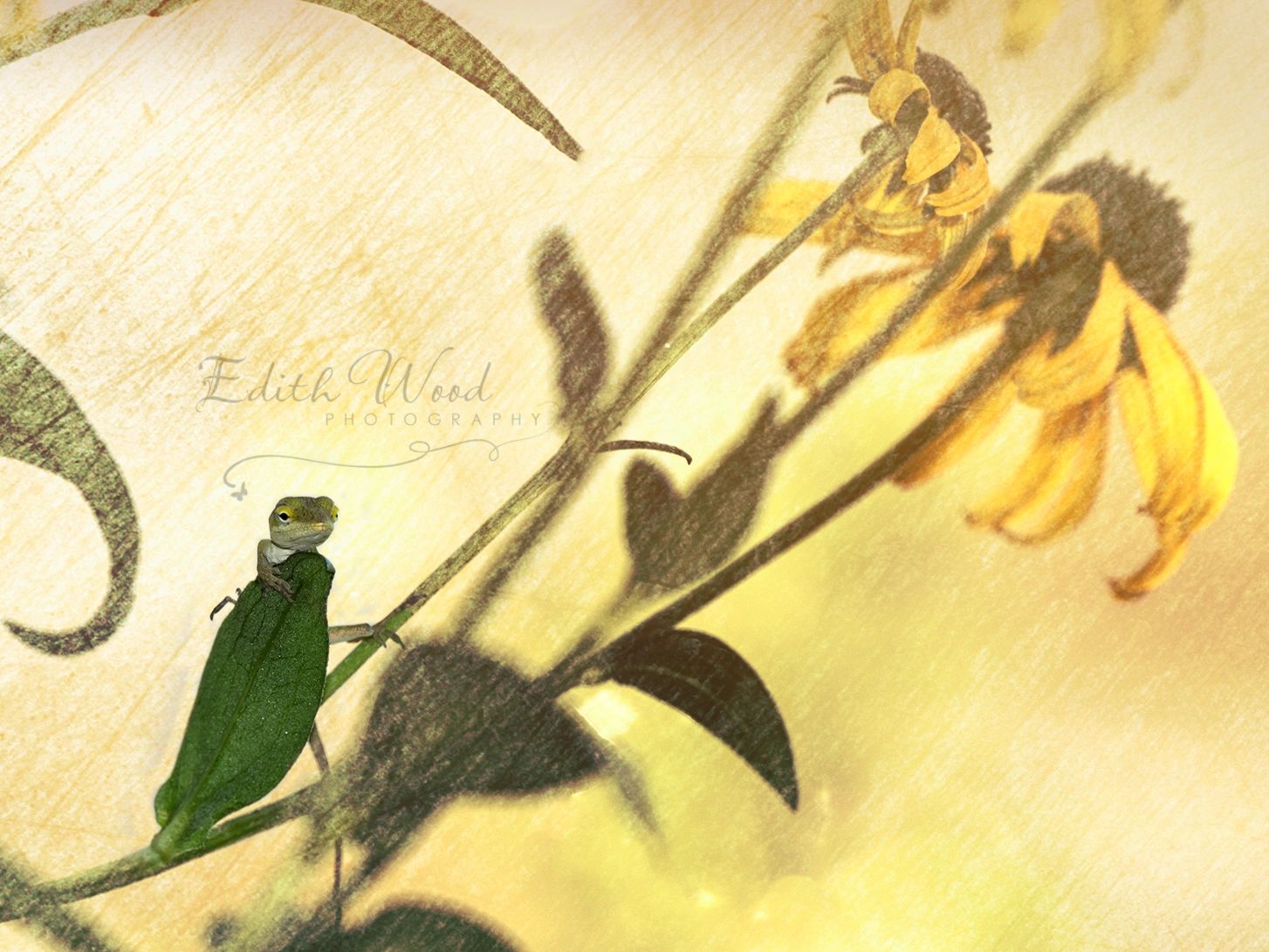 A green praying mantis on a flower stem with yellow flowers.