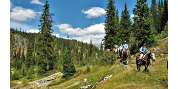 horse pack trips in yellowstone