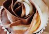 Chocolate rose