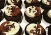 Double chocolate cupcakes 