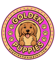 GOLDEN PUPPIES