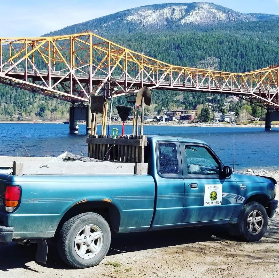 Lettuce Lawn & Garden