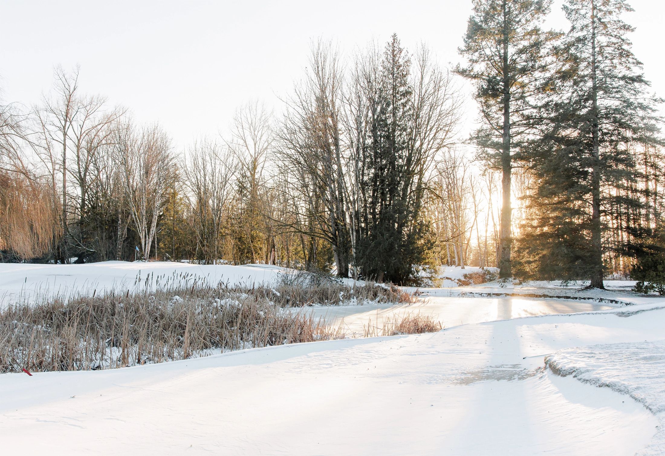 Webcams | Ledgeview Golf Club, Abbotsford BC