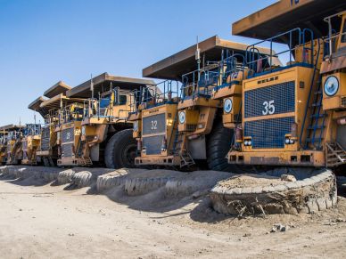 A row of large yellow mining trucks parked on a dusty site under clear blue sky.