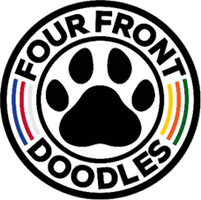 Four Front Doodles
