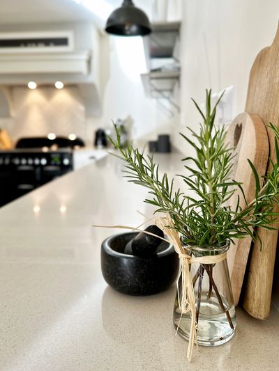 A kitchen surface decorated with a vase of rosemary and chopping boards