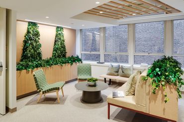 Modern waiting room with greenery and natural light.
