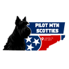 Pilot Mtn Scottie’s 