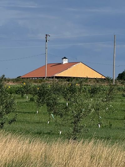 Orchard and venue!! ❤️