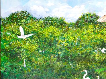 Egret rookery