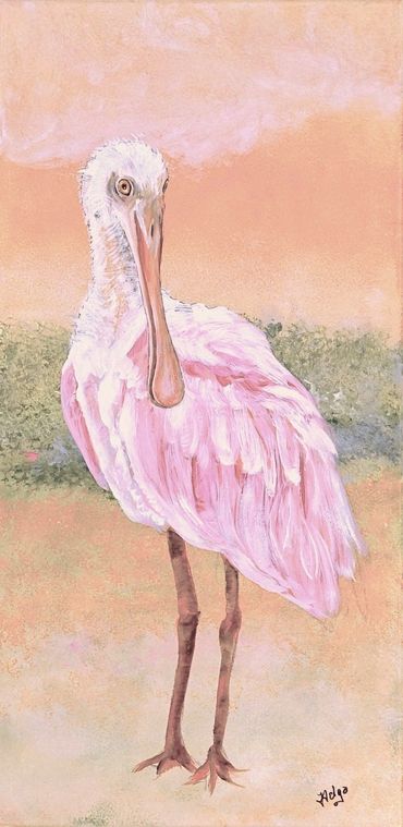 Roseate Spoonvill