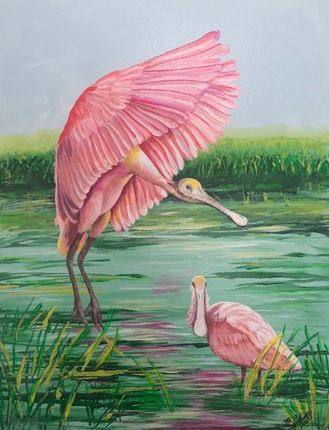 Two Roseate Spoonbills